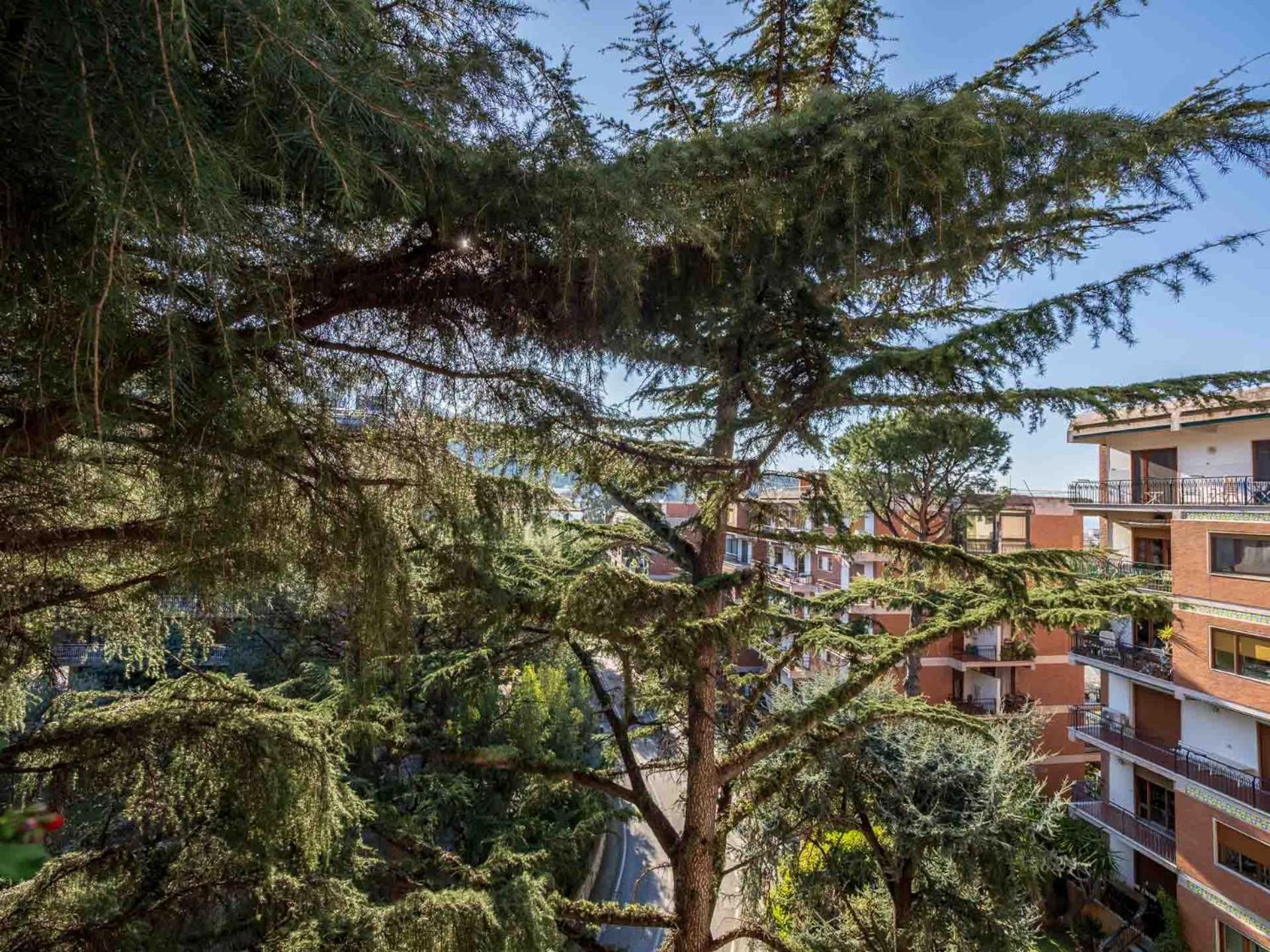 Apartmán Pine House Sorrento Exteriér fotografie
